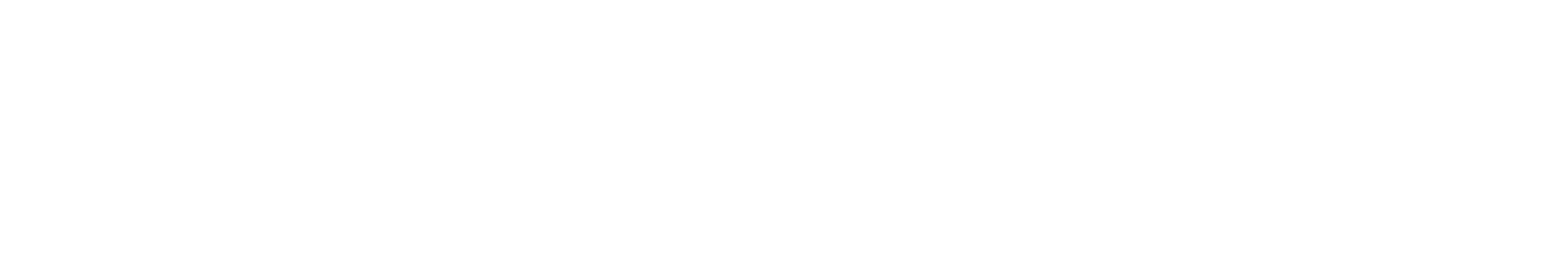 logo white 300dpi fnl 2
