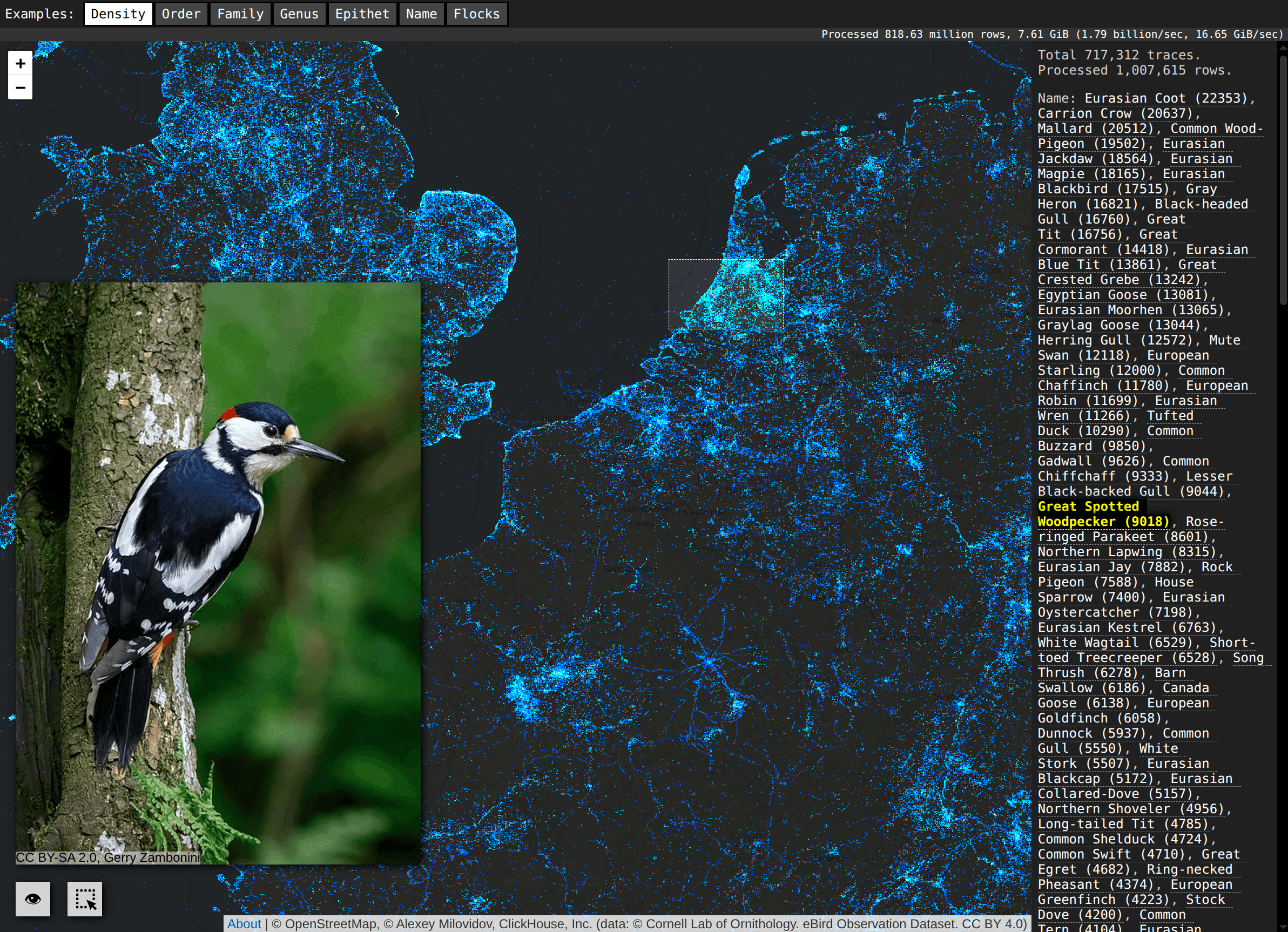 birds-screenshot.png
