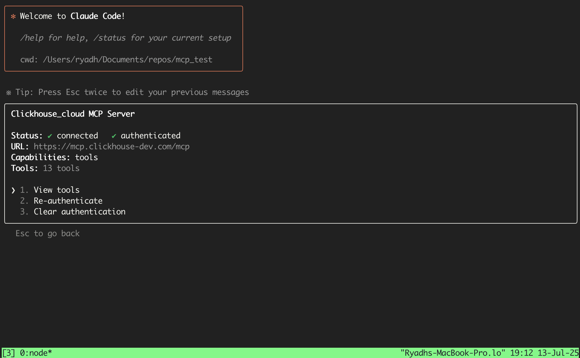 Claude Code MCP 상세 정보