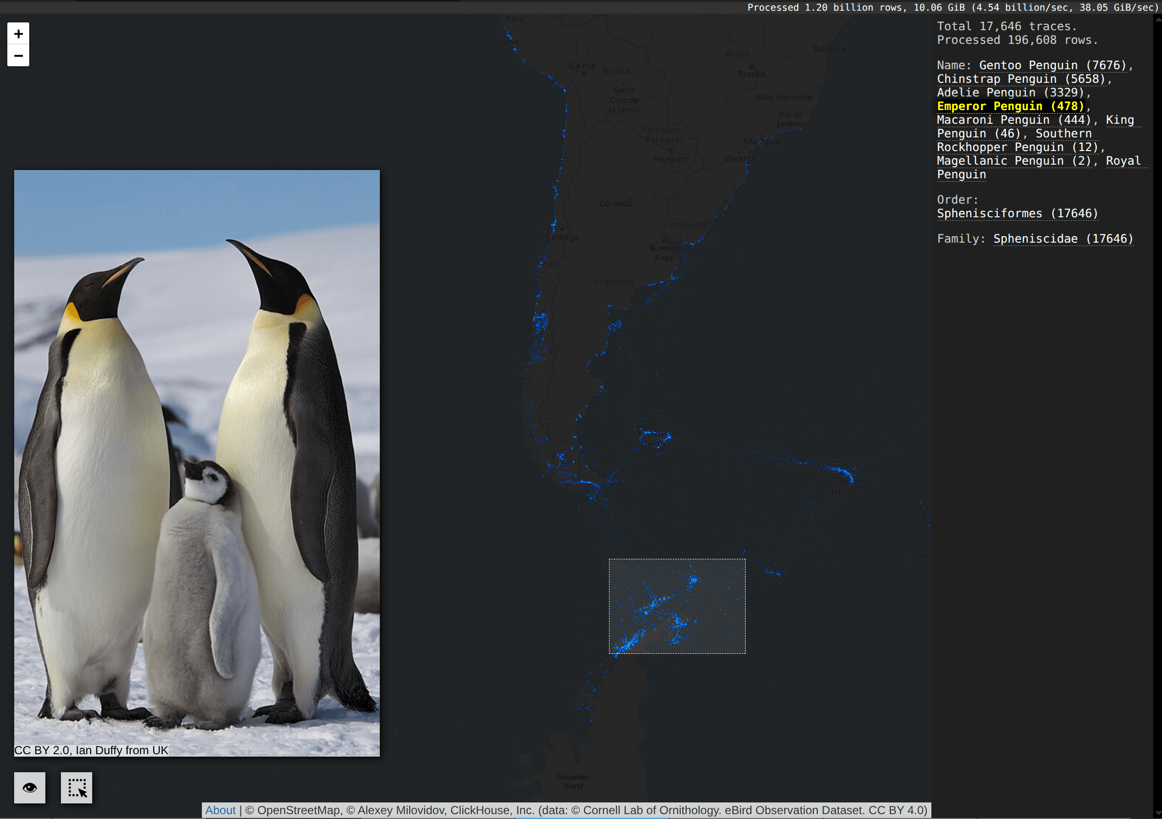 Screenshot_20250601_173836.png