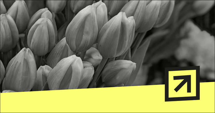 ClickHouse Newsletter April 2023: Lightweight Deletes