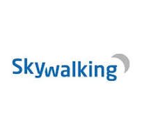 SkyWalking logo - Zoomed